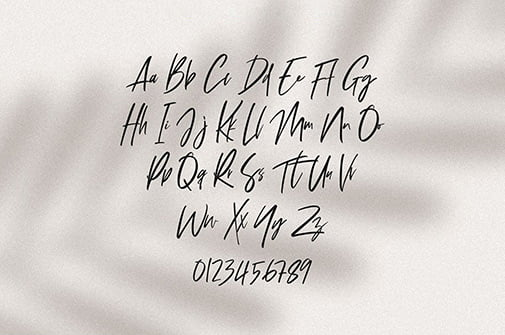 Refaline 完美轻盈的手写脚本字体插图(2) Refaline 完美轻盈的手写脚本字体