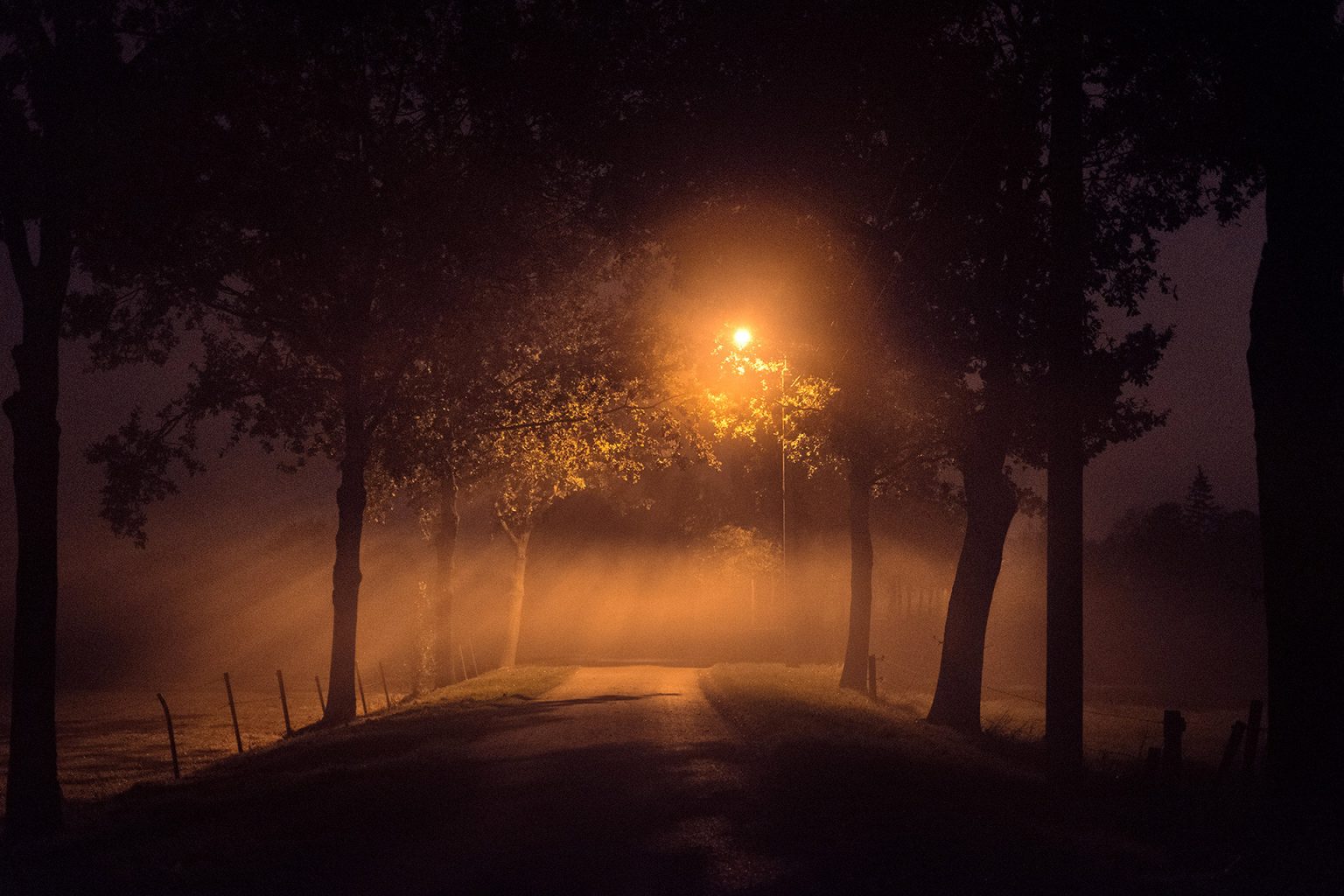 图片[7]-Pierre Putman黑夜笼罩的夜间摄影-Deise