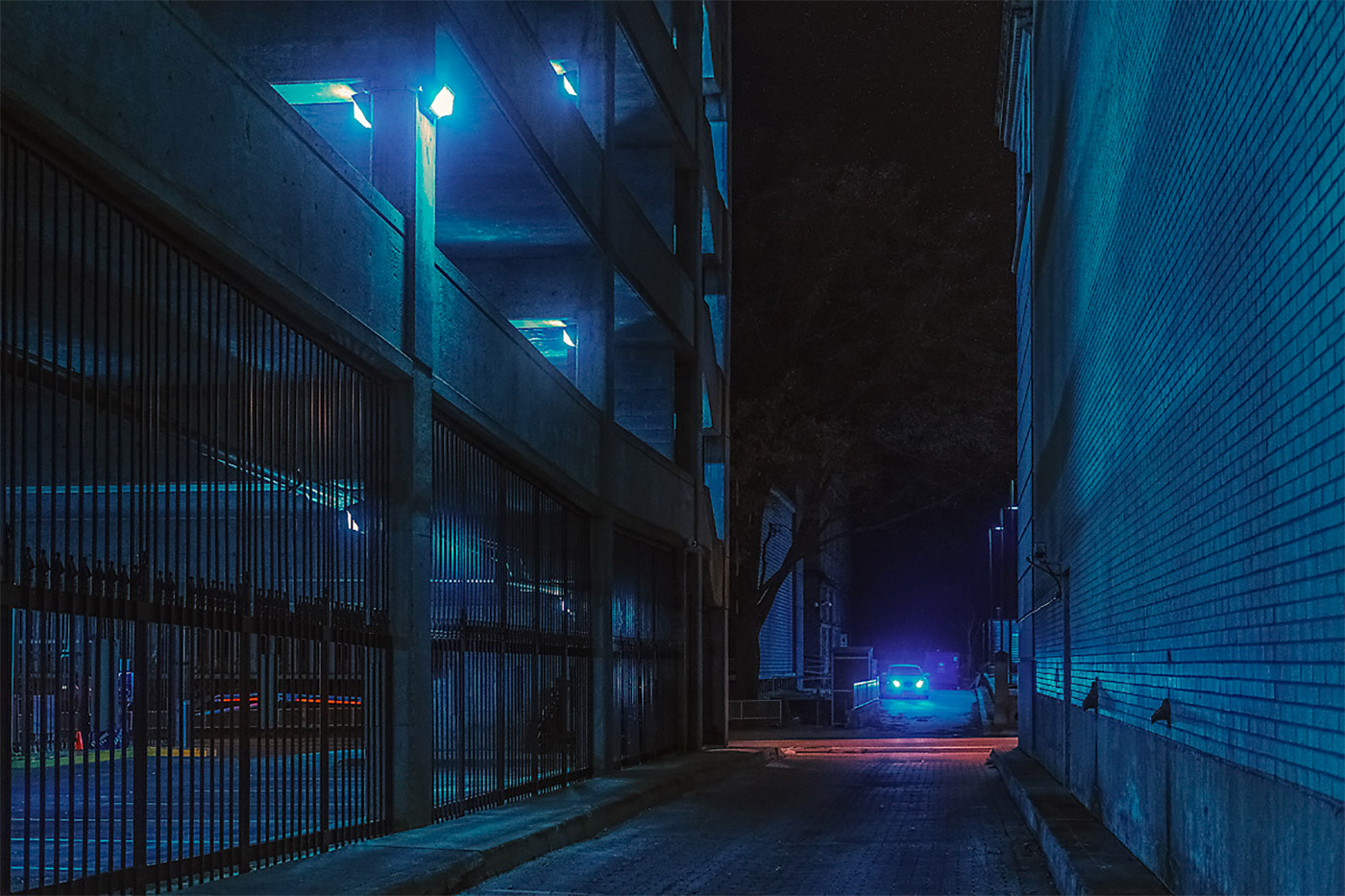 图片[8]-孟菲斯黑色：灯光下的街区摄影-Deise
