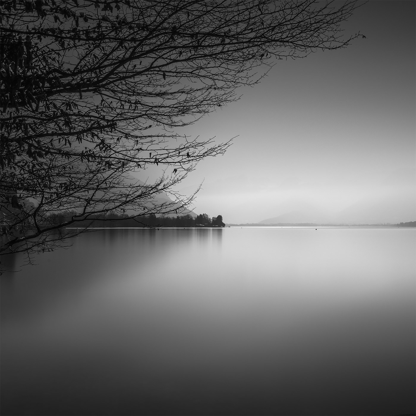 图片[4]-冬季色调：寂静下的湖光黑白照片-Deise