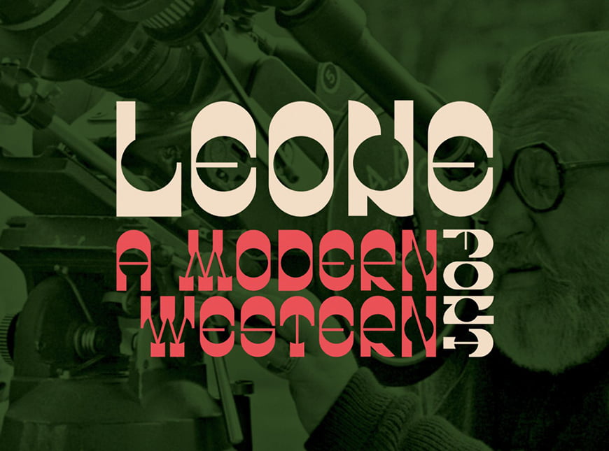 Leone-新颖时尚的艺术英文字体插图