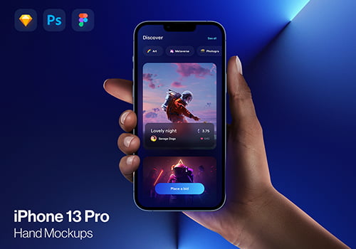 Phone 13 Pro 和 iPhone Pro（手持模型）