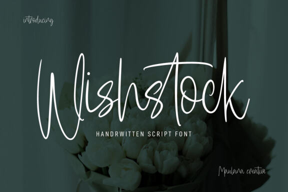 图片[1]-Wishstock 精美的手写脚本字体-经验灵感