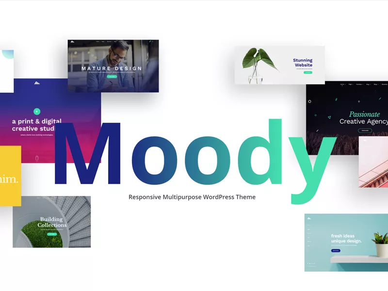 Moody – 企业商务机构 WordPress 主题-得设创意