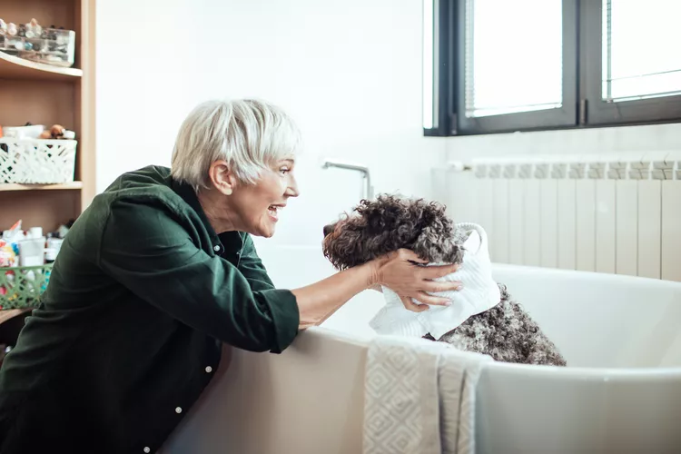 可以给狗使用婴儿洗发水吗？-是宠网
